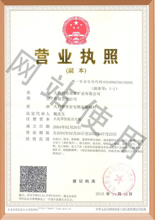 执照